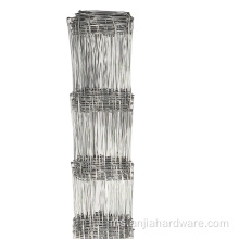 Sampel percuma Galvanized Field Wire Mees Fence